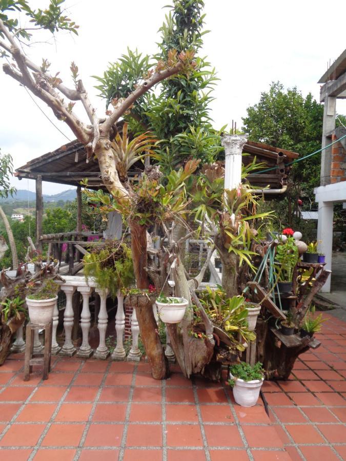 Hostal Loco Locombia San Agustin  Exterior photo